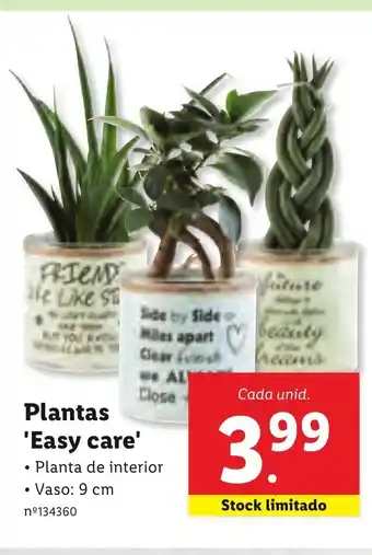 Lidl Plantas Easy Care promoção