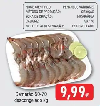 Froiz Camarão 50-70 descongelado kg promoção