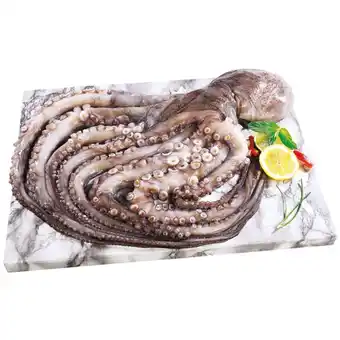 Continente Polvo cabeçudo fresco promoção