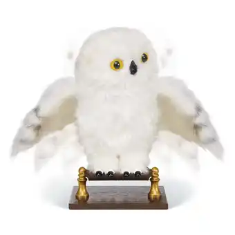 Continente Harry potter - hedwig interativa promoção