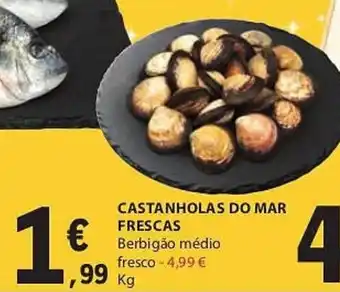 CASTANHOLAS DO MAR FRESCAS Kg
