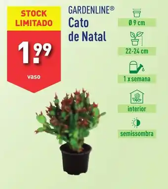 ALDI GARDENLINE Cato de Natal promoção