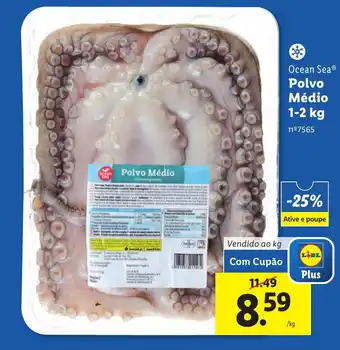 Lidl Ocean Sea Polvo Médio 1-2kg promoção