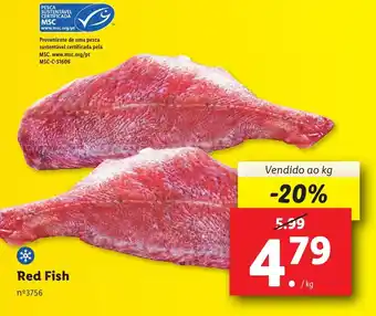 Lidl Red Fish Vendido ao kg promoção