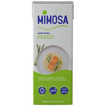 Continente Nata para peixe promoção