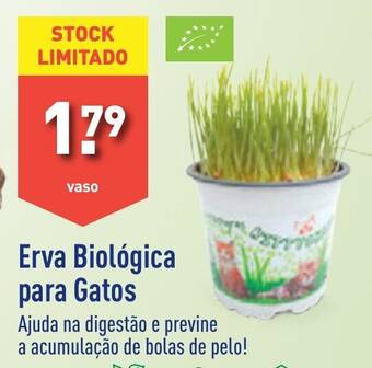 ALDI Erva Biológica para Gatos promoção