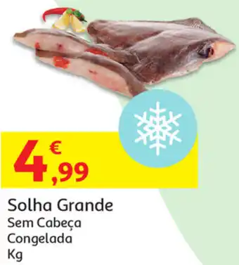Solha Grande