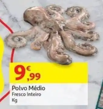 Auchan Polvo Médio Fresco Inteiro Kg promoção