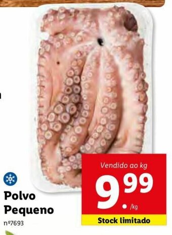 Lidl Polvo Pequeno promoção