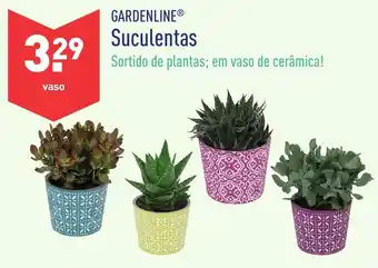 Gardenline Suculentas
