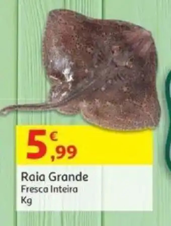 Raia Grande Fresca Inteira Kg
