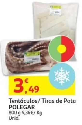 Auchan Tentáculos/ Tiras de Pota Polegar promoção