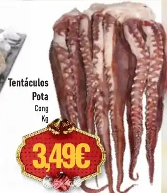 Tentáculos Pota Cong Kg