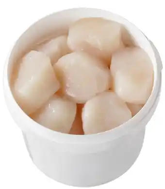 Miolo vieira japonesa, 24/29 peças por 1 kg, descongelado