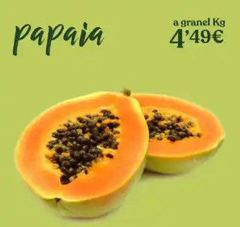 Papaia