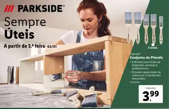 Lidl Parkside Conjunto de Pincéis promoção