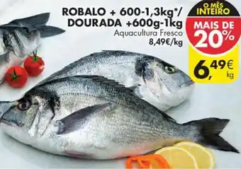Robalo +600g-1,3kg/Dourada +600g-1kg