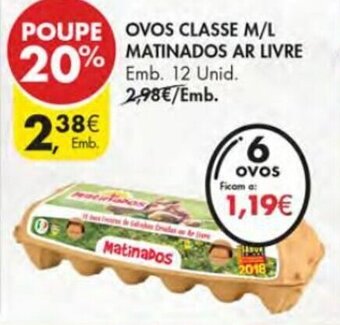 Ovos Classe M/L Matinados Ar Livre 12 Unid