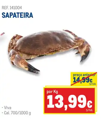 SAPATEIRA