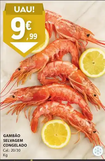 E.Leclerc GAMBÃO SELVAGEM CONGELADO Cal.: 20/30 Kg promoção
