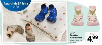 Lidl Lupilu Sapatos de Gatinhar promoção