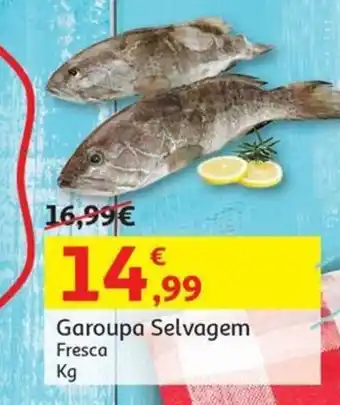 Auchan Garoupa Selvagem Fresca Kg promoção