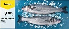 Continente ROBALO GRANDE +600G FRESCO promoção