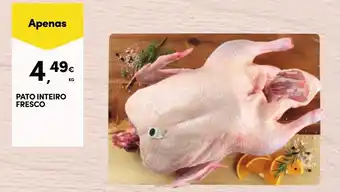 Continente PATO INTEIRO FRESCO promoção