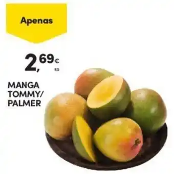 Continente MANGA TOMMY/ PALMER promoção