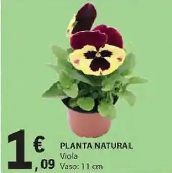 E.Leclerc PLANTA NATURAL promoção