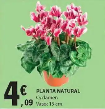 E.Leclerc PLANTA NATURAL promoção