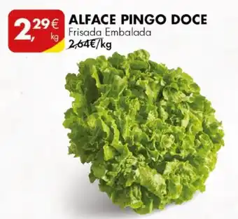Pingo Doce ALFACE PINGO DOCE Frisada Embalada promoção