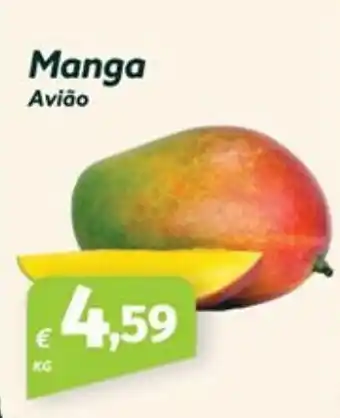 Roque Supermercados Manga Avião promoção