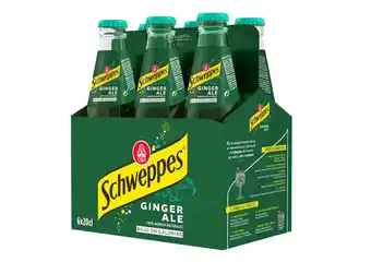 Makro Schweppes ginger ale cesta 6 x 20 cl promoção