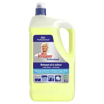 Makro Mr. proper professional lava tudo profissional limao 5 l promoção
