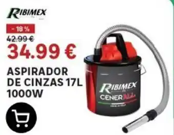 ASPIRADOR DE CINZAS 17L 1000W