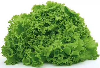 Makro Alface friscada categoria ii caixa t.r.±4kg promoção