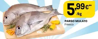 Intermarché PARGO MULATO Fresco promoção