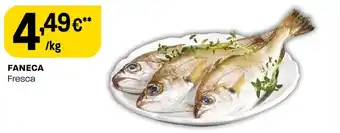 FANECA Fresca