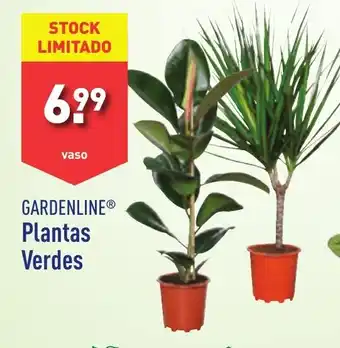 ALDI GARDENLINE Plantas Verdes promoção