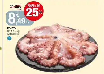 Intermarché Polvo de 1 a 2kg promoção