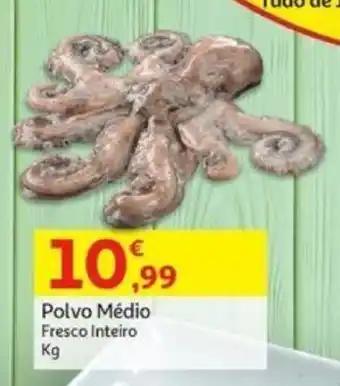Auchan Polvo Médio Fresco Inteiro Kg promoção