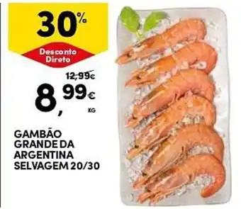 GAMBÃO GRANDE DA ARGENTINA SELVAGEM 20/30