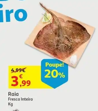 Auchan Raia Fresca Inteira Kg promoção