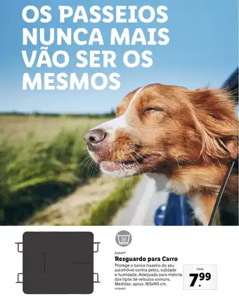 Lidl Resguardo para Carro promoção