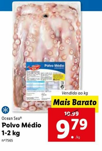 Lidl Ocean Sea Polvo Médio 1-2kg promoção