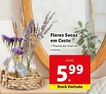 Lidl Flores Secas em Cesto promoção