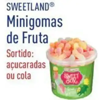 Sweetland Minigomas de Frutas 175g