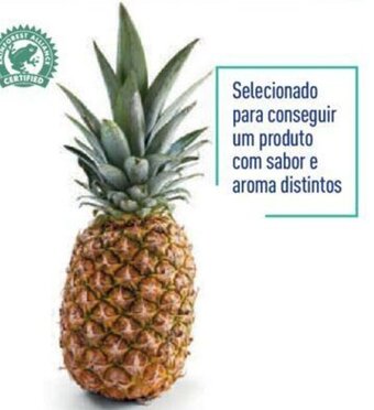 ALDI Abacaxi ORO promoção
