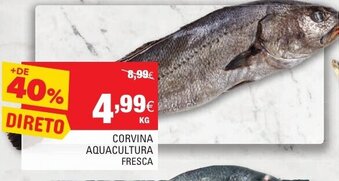 Continente Corvina Aquacultura Fresca promoção